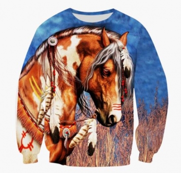 Schönes Langarmshirt "Indian Pony" Größe L